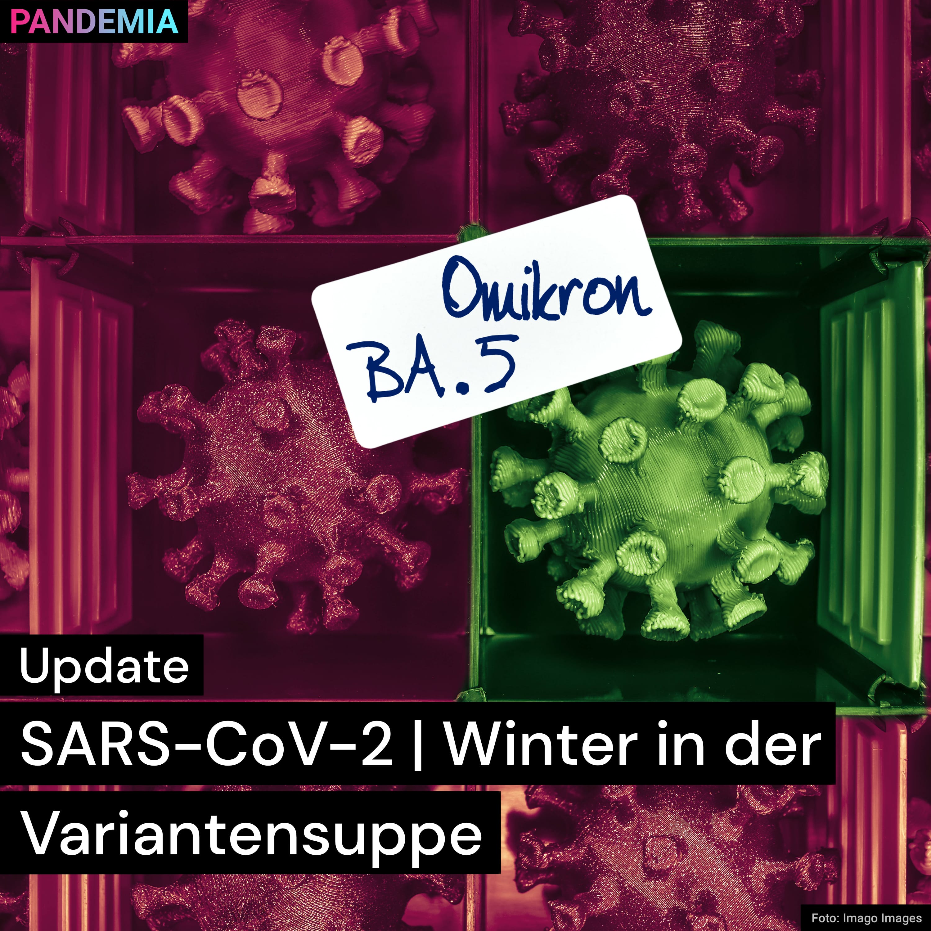 SARS-CoV-2 – Winter in der Variantensuppe | Pandemia