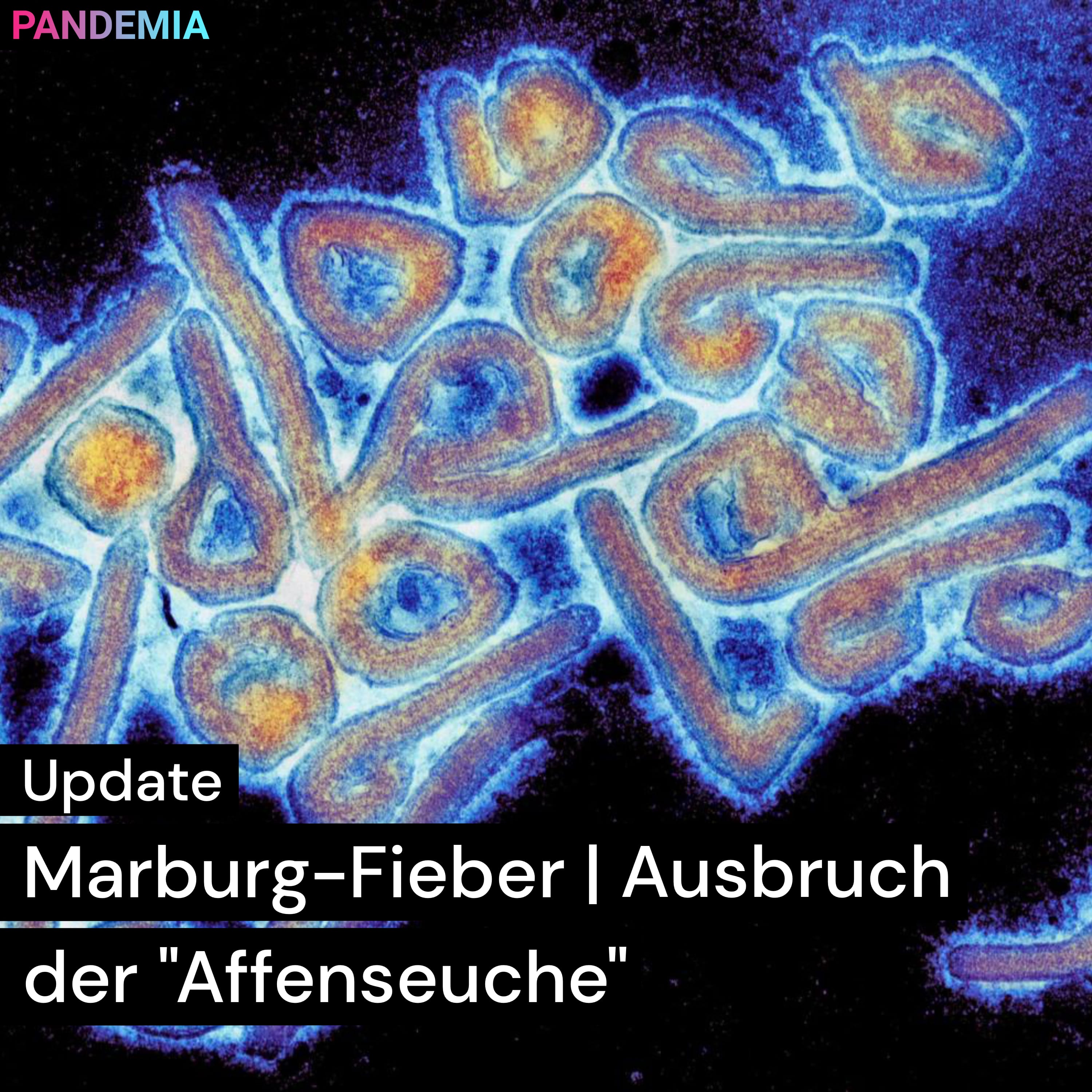 Pandemia | Marburg Fieber | Ausbruch der "Affenseuche"
